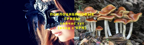 гашик Алзамай