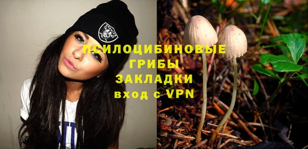 прущие крисы Армянск