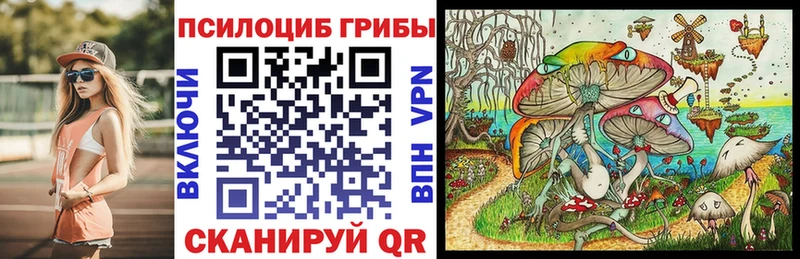 даркнет сайт кракен ТОР Галлюциногенные грибы прущие грибы Валдай